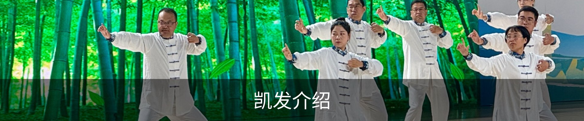 凯发介绍